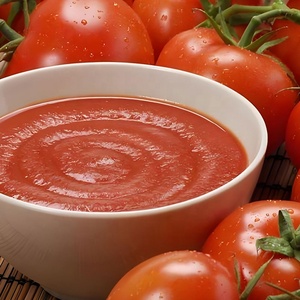 Kualitas tinggi saos tomat bubuk penyedap agen bumbu alami saus instan campuran untuk saus sup makanan ringan - Product Image 1