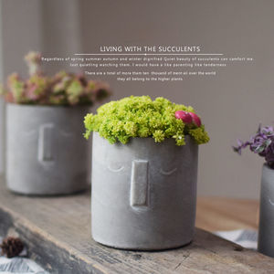 Maceta suculenta minimalista nórdica maceta de cemento hecha a mano con diseño de nariz decoración del hogar regalo - Product Image 4