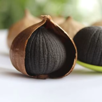 Meilleur prix de gros Ail noir Ail noir chinois