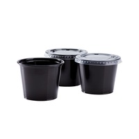 Gobelets jetables transparents en PP à paroi simple de 1 oz pour soufflé/portions, avec couvercles en PET, logo personnalisé estampé or, qualité alimentaire, pour vinaigrettes