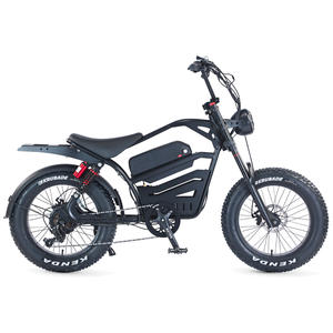 Vélo électrique Fatbike, vélo électrique à pneus larges de 20 pouces, vélo de montagne électrique pour adultes - Product Image 1