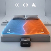 Système de sommeil intelligent avec contrôle de la température, surmatelas pour les personnes qui ont chaud la nuit, confort de refroidissement et de chauffage nocturne