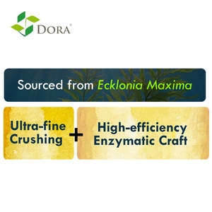 Ecklonia Maxima <span class=keywords><strong>Fertilizante</strong></span> líquido derivado de algas marinas Bioestimulante orgánico para una mayor resistencia a la sequía de calidad de los cultivos - Product Image 4