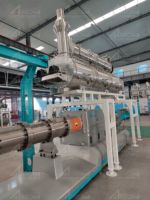 Extrudeuse de fabrication de nouilles de riz pour bébé en poudre de nutrition flèche/ligne de production de machine de traitement de nouilles de riz nutritionnel