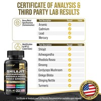 Capsules de Shilajit, Ashwagandha, Rhodiola Rosea et Panax Ginseng – 60 Comprimés – Complément Alimentaire pour Améliorer la Densité Osseuse – Vente Transfrontalière
