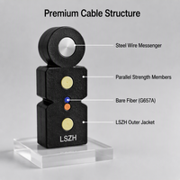Kabel Drop FTTH DEKAM 2-12 Core Single Mode G657A LSZH Kabel Serat Optik Indoor dengan Kawat Baja Garansi 5 Tahun Kompatibel 5G