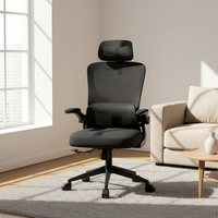 Chaise de bureau ergonomique pivotante à vérin à gaz en maille avec cadre en plastique – Meilleure vente
