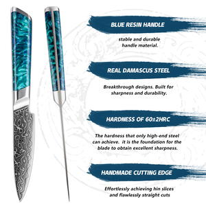 Cuchillo para Frutas <span class=keywords><strong>de</strong></span> 4 Pulgadas, 129 Capas <span class=keywords><strong>de</strong></span> Acero Damasco Japonés, Cuchillos Pequeños para Pelar Frutas, Cuchillo <span class=keywords><strong>de</strong></span> Chef para Cortar con Mango <span class=keywords><strong>de</strong></span> Resina Azul - Product Image 6