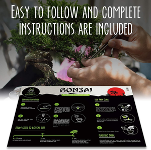 Cadeau <span class=keywords><strong>de</strong></span> noël bricolage adulte enfant artisanat pousse <span class=keywords><strong>intérieur</strong></span> 4 germes Types germer cadeaux Kit <span class=keywords><strong>de</strong></span> <span class=keywords><strong>d</strong></span>émarrage bonsaï - Product Image 5
