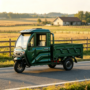 Triciclo Cargo con Cabina Integrata in Lamiera, Certificazione EEC COC, Dotato di Motore ad Alta Potenza 72V 1500W - Product Image 4