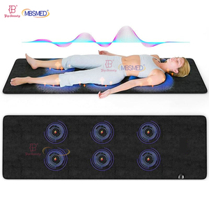 Dispositivo de Terapia Magnética con Tapete PEMF Especializado para Alivio del Dolor de Fibromialgia en Caballos y Terapia de Curación del Síndrome - Product Image 2