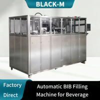 Machine de remplissage automatique de liquides Bag-in-Box (BIB) de conception professionnelle pour lait d'amande, jus de citron, thé glacé