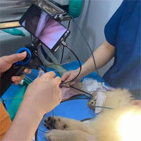 Kit d'hystéroscopie vétérinaire réutilisable en ABS, caméra HD 720P, instruments chirurgicaux pour interventions chez les chiens et les chats, marque OSCAT OJOS