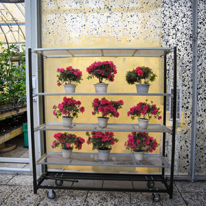 Pour étagère à <span class=keywords><strong>fleurs</strong></span> en métal antirouille avec finition enduite de poudre Présentoir de balcon intérieur autoportant - Product Image 4