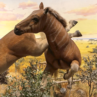 Statue d'attraction touristique en fibre de verre, réaliste, à coller manuellement, de qualité muséale, sur le thème des animaux, pour parc d'attractions