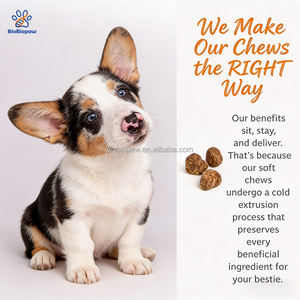 Integratore per Articolazioni Canine OEM/ODM con 400mg di Condroitina e Vitamine C ed E per un Supporto Muscolare Superiore - Product Image 5