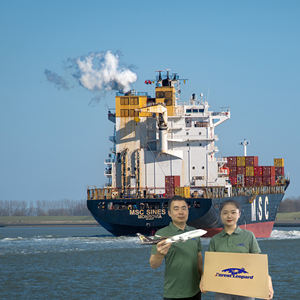 Tariffe di spedizione assicurative gratuite/servizi di Seacargo cina to USA/europa/in tutto il mondo FBA spedizioniere agente logistico - Product Image 3