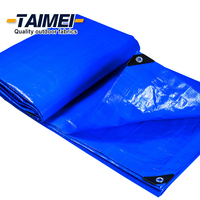Chine usine polyéthylène tissu imperméable à l'eau bâches en plastique feuille toile PE en plastique bâche
