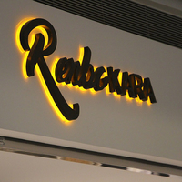 Enseigne lumineuse LED personnalisée, logo 3D pour entreprise, lettres en acrylique, enseigne lumineuse LED pour boutique