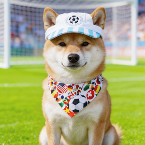 Ropa para <span class=keywords><strong>mascotas</strong></span> 2026: Sombreros para perros, baberos y pañuelos Super League para gatos - Estilo Instagram con estampado de poliéster para verano - Product Image 1