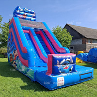 Château gonflable commercial d'extérieur, château gonflable à thème de dessin animé, combo toboggan et château gonflable pour enfants