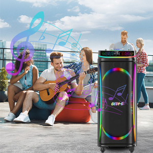 Altavoz DJ de Doble Bocina, Altavoz TWS de Gran Potencia con Doble Micrófono Inalámbrico GD-1023 - Product Image 6