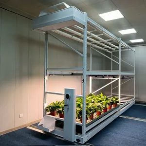 Large Double Layer Mobile Vertical Grow Racks for Agriculture for Plant Care