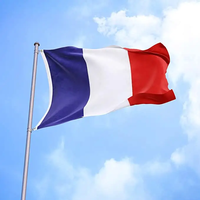 Gahumi Bas Prix Fabricant Drapeaux de Pays Personnalisés Promotionnel Suspendu 90X150Cm Drapeau Personnalisé