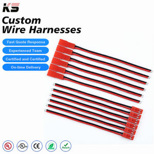 Conector Rojo Jst Rcy Syp 2P, Cable de 22 AWG y 150 mm para RC, LED, BEC, Batería Lipo, Helicóptero, Dron FPV, Quadcopter - Product Image 1