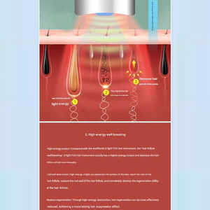 Machine laser à diode professionnelle à 3 longueurs d'onde, <span class=keywords><strong>grande</strong></span> puissance, 2000 W, épilation avec technologie <span class=keywords><strong>de</strong></span> refroidissement par <span class=keywords><strong>glace</strong></span>, resserrement <span class=keywords><strong>de</strong></span> la peau, <span class=keywords><strong>salon</strong></span> - Product Image 4