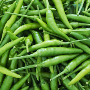 fresh green pepper yellow pepper red pepper suppli