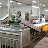 Séchoir automatique de légumes déshydrateur oignon gingembre lavage coupe séchage broyage ligne de production d'emballage