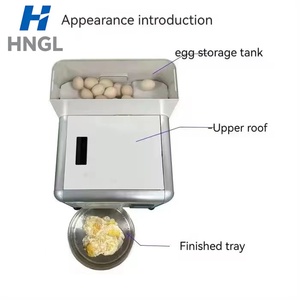 Machine à frire les œufs pour le petit-déjeuner, production continue <span class=keywords><strong>de</strong></span> 120 œufs/h - Product Image 5