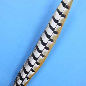 Plumes de queue de faisan collier naturelles longues en gros pour la pêche à la mouche, la fabrication de leurres, la décoration en vrac, les costumes de carnaval. - Product Image 3
