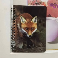 Carnets 3D lenticulaires fabriqués en usine à Guangdong, service personnalisé de carnets à spirales avec effet 3D pour cadeaux