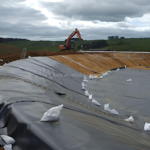 Géomembranes HDPE 1 mm, 0,75 mm, 1,5 mm ASTM <span class=keywords><strong>GN13</strong></span> pour l'exploitation minière, les décharges et les bassins de crevettes - Product Image 4