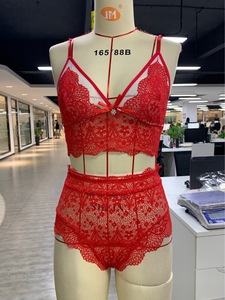 ZZYUP Lingerie à prix avantageux, ensembles de lingerie pour femmes, lingerie en dentelle, <span class=keywords><strong>soutien</strong></span>-<span class=keywords><strong>gorge</strong></span> push-up <span class=keywords><strong>et</strong></span> culotte, <span class=keywords><strong>ensemble</strong></span> sexy à col en V, haut court érotique, sous-vêtements - Product Image 2