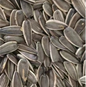 เมล็ดทานตะวัน T6 363 361เปลือก - Product Image 6