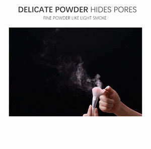 Customizable 30g Large Capacity Waterproof Matte Finish <b>Mineral</b> Translucent Setting Powder Concealer with Oil-Control Features - Product Image 6