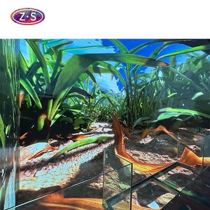 Personalizzabile 3D HD visualizzazione immersiva schermo a LED in metallo appeso vetro ologramma Cinema - Product Image 2