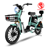 Vélo électrique tout-terrain à deux roues avec moteur de moyeu arrière 750W 48V, pneus résistants à l'usure, longue autonomie, haute vitesse et capteur