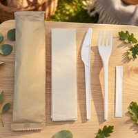 Cuillère à yaourt jetable en papier compostable, transparente, imprimée à la machine, écologique, en titane saphir, pour l'extérieur