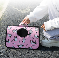 Sac à main Portable pour chat, porte-animal de compagnie en plein air respirant, sac de transport pour petit chien et chat approuvé par la compagnie aérienne.