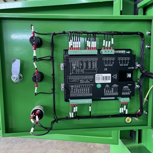 Groupe électrogène silencieux encastré de 200 kW au gaz (GPL, GNL, Biogaz) pour alimentation de secours continue des bureaux urbains, des parcs et des hôpitaux publics - Product Image 5