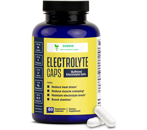 DARWIN Etiqueta Privada fabricante OEM bebida energética polvo electrolito polvo píldora cápsulas de electrolito - Product Image 1