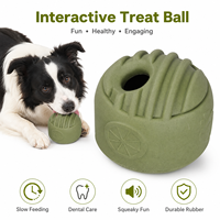 Choix des vendeurs en ligne : Jouet pour chien en caoutchouc menthe avec design de distribution lente pour libérer l'énergie en intérieur