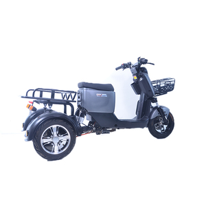 Venta caliente triciclo eléctrico <span class=keywords><strong>Niu</strong></span> Ding 1000W hogar de alta potencia triciclo eléctrico adulto viaje ocio batería Coche - Product Image 2