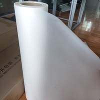 OEM/ODM personalizado A3 + hoja de película de transferencia Dtf rollo de película Dtf 33cm 45cm 60cm para impresiones Dtf Impresión de etiquetas de transferencia de calor