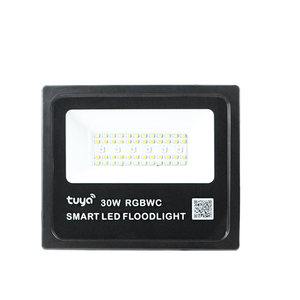 Tuya WiFi Smart Human Presence <strong>Detector</strong> with Illumination Light Detection Home Hotel 95~250V Zigbee Garden Light - Product Image 4