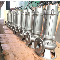 Pompes submersibles pour eaux usées, pour soubassement, fosse sèche, pompes de drainage en acier inoxydable, pompe en acier inoxydable Wqp